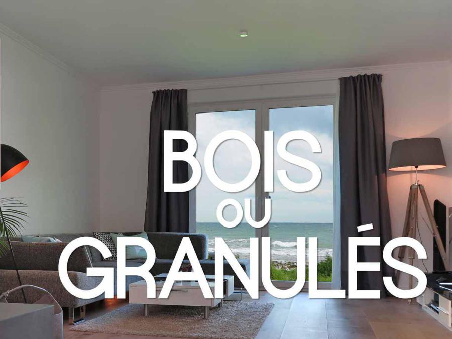 Poêle à bois ou poêle à granulés : lequel adopter ?
